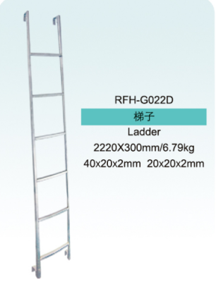 Scaffolding Ladder