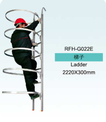 Scaffolding Ladder