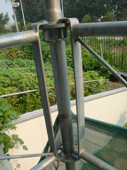 Guarda-corpo.png Guarda-corpo.png