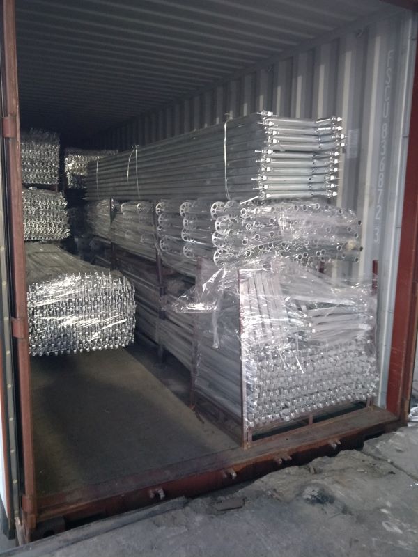 سقالات.jpg سقالات.jpg